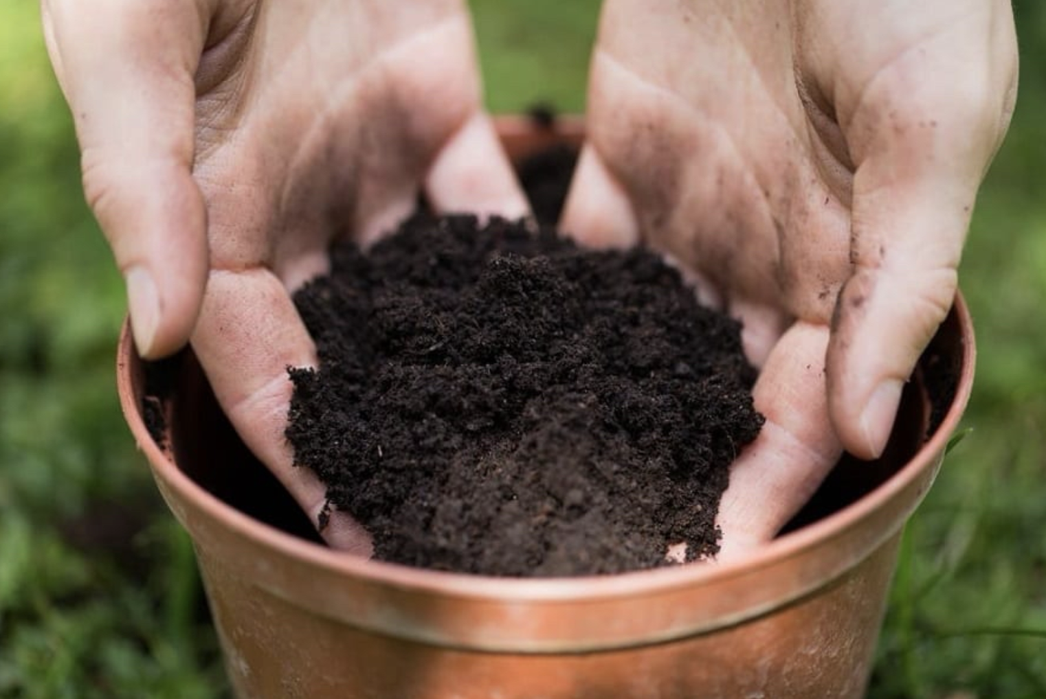 Best fit for potting, nursery, and general horticulture programs