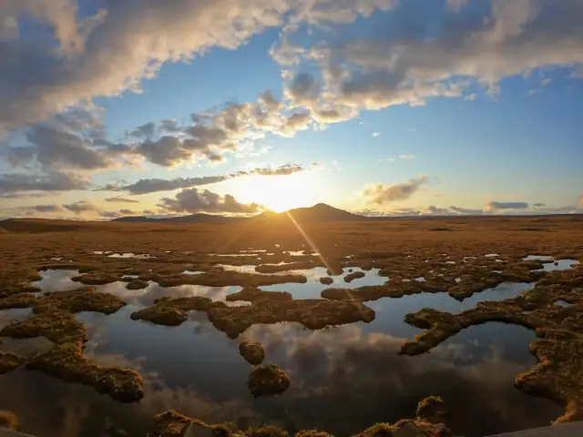 Weathering the Harvest 2023: The Unyielding Influence of Weather on Peat Moss Production