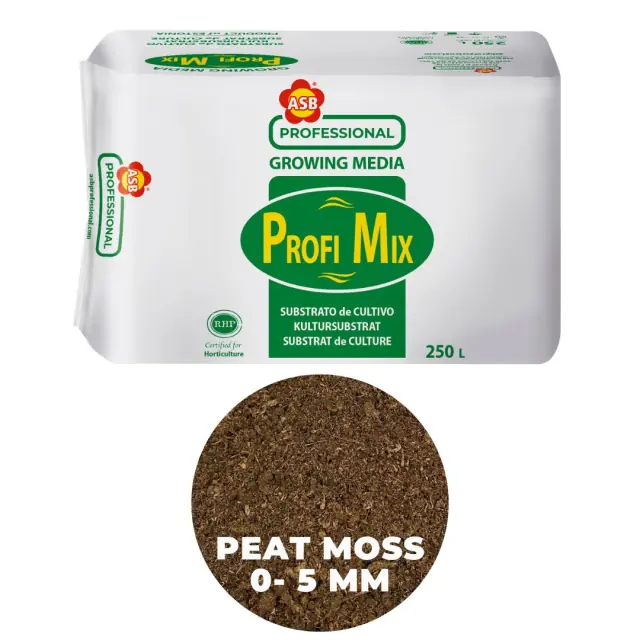 ASB Blueberry Peat Base WP05