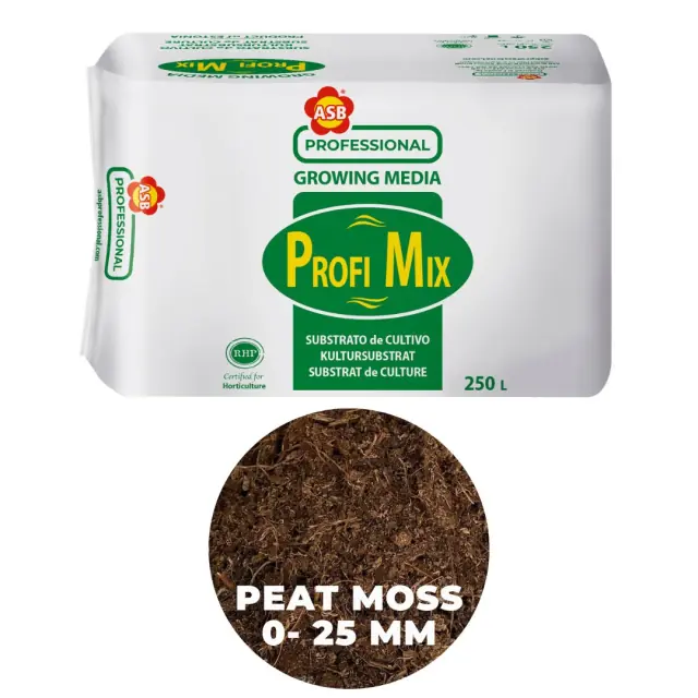 ASB Blueberry Peat Base WP025