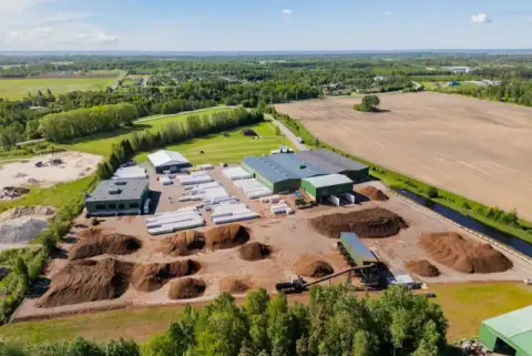 Baltic Peat Moss: How Origin and Processing Shape Growing Media Performance