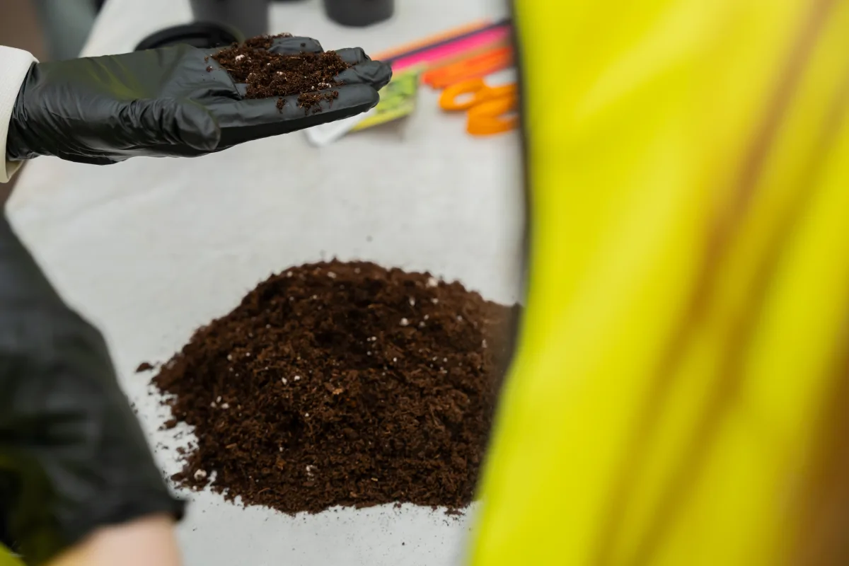 Professional peat moss structure sample handled during substrate review