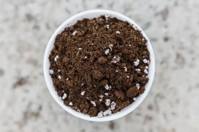 Growing Medium for Professional Growers: How to Choose the Right Product Type