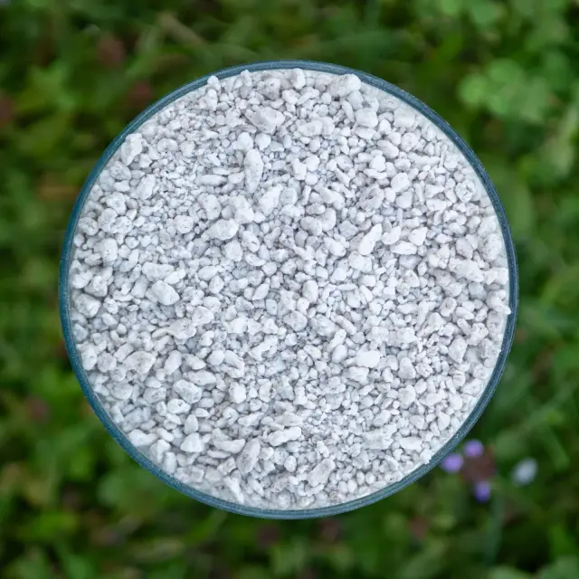 White perlite particles in a clear sample container